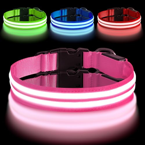 AUAUY Leuchthalsband Hunde Einstellbar Blinklicht 3 Beleuchtungsmodi Rosa-M | Hundehalsband Leuchtend, Aufladbar, Sicherheit Halsband, LED Hundehalsband, Wasserdicht, für Kleine Mittlere Große Hunde