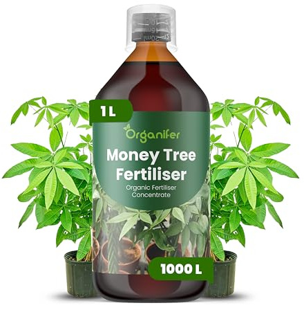Fertilizzante Liquido 1L Per Albero Dei Soldi - NPK 2-1-8 | Piante Forti E Fogliame Rigoglioso - Organifer
