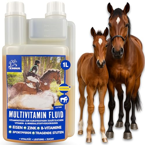 EMMA Multi Vitamina b Complex Cavallo I Vitamine per Cavalli - con vitamina C K B1 B2 B6 B12 Acido folico Zinco Cavallo I B Vitamine complesso Sistema immunitario Vit b Mangime per puledri 1L