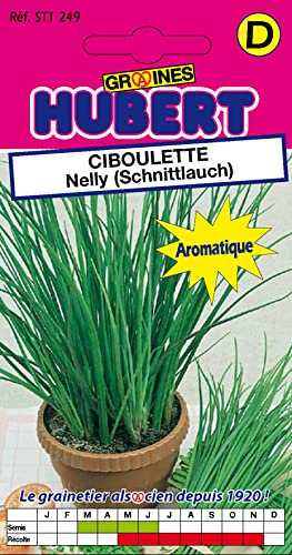 Graines de Ciboulette Nelly (Schnittlauch) - 1 gramme
