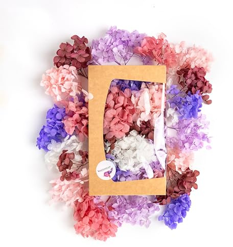 Véritables fleurs d'hortensia séchées pour bricoler Pâques et la fête des mères - Véritables fleurs d'hortensia (mélange pastel)