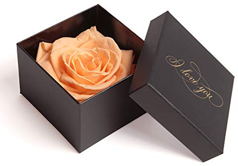 Infinity Rose konserviert Rosenbox I LOVE YOU Geschenk für Frauen (1 Rose, Schwarz-Peach)