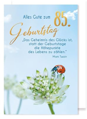 85 Geburtstag Karte Grußkarte Foliendruck Marienkäfer 16x11cm
