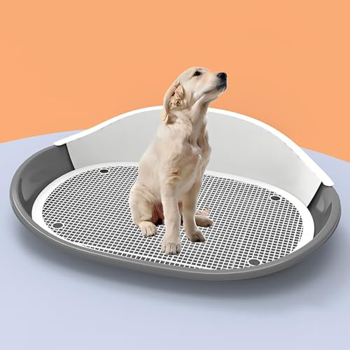 Hundtoalett, Hundpotta Inomhus, Stänksäker Hundsandlåda, Kissstation för Hundar Inomhus, Förhöjt Staket, Avtagbar Design (Color : Gris)