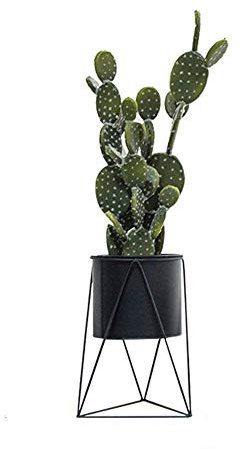 DDKYHU Pflanzenständer aus Metall mit Blumentopf, Blumentopfhalter aus Eisen, Blumentopfständer für Garten, Zuhause, Tisch, Büro, Dekoration für den Innenbereich