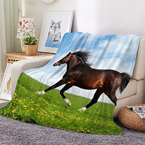 Woowin 3D Plaid Couverture Polaire en Flanelle Cheval Douce Chaude Microfibre ete Hiver Couverture 70x100 Animal Linge de lit Couvre-lit Couverture de cnapé pour Bebe Fille Garcon Enfant