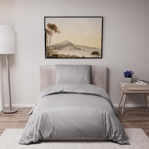 Dreamzie - Bettwäsche 140x200 + 1 Kissenbezug 65x65cm - Anthrazit | 100% Mikrofaser · Bettbezug 140x200 · 2 Teile · Einzelbett · Reißverschluss · OEKO-TEX · Weich · Pflegeleicht · Bügelfrei