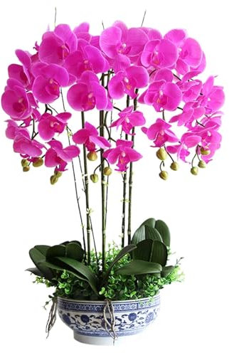 SdaryWare Orchidée Artificielle avec Vase en céramique Orchidées PU Fleur Artificielle 25,59 Pouces Fleurs de phalaenopsis artificielles Décor Fausses Fleurs artificielles flo