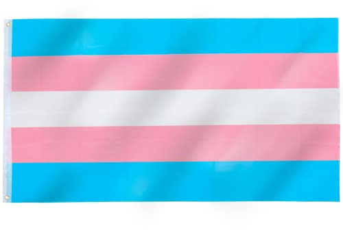 TRIXES Bandera Transgénero 150x90 cm, Interior Y Exterior | Bandera de poliéster resistente para el Mes del Orgullo, festivales y fiestas, uso interior o exterior