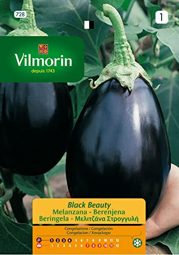 Semi Di Melanzana Black Beauty S-1,3 Gr