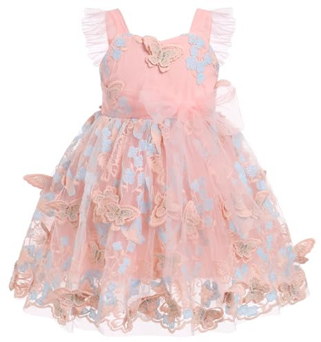 FYMNSI Baby M?dchen Kleid Schmetterling Stickerei Geburtstag Partykleid Taufkleid Kleinkinder ?rmellos T?ll T?t? Prinzessin Blumenm?dchen Hochzeit Brautjungfer Festkleid Abendkleid Rosa + Blau 2-3J