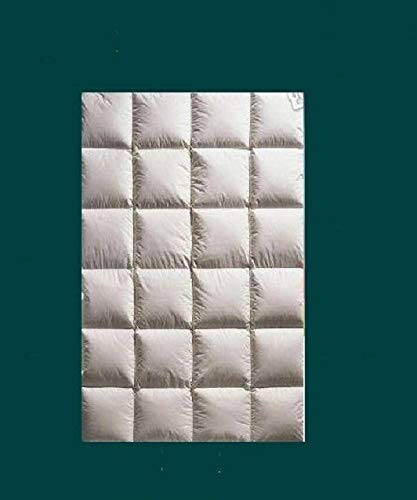 Hofmann anschmiegsame Ganzjahresdecke Daunendecke 4x6, 135x200 cm 980g Daunen