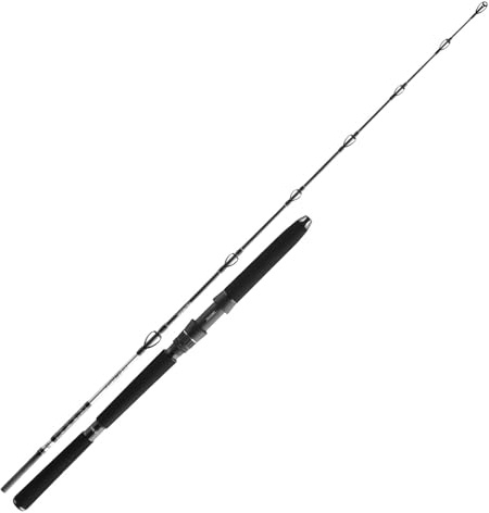 Daiwa Steckrute BG Deep Sea XH Länge 1,75m Wurfgewicht 100-300g
