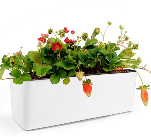CAREDGO Vaso Autoirrigante con Lndicatore Fioriera Autoirrigante Rettangolare Vaso Autoirrigante Grande Vasi per Piante Autoirriganti per Balconi e Davanzali da Interno Ed Esterno 40 * 13cm (Bianco)