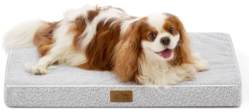 COZY KISS Orthopädisches Hundebett Grosse Hunde - 76x51x8 cm Hundekissen Waschbar Hundematte mit Abnehmbarer Bezug, Hundematratze Rutschfester Unterseite, Grau