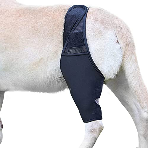 KAXIAA Kniebandage für Hunde, Gelenkgesundheit für Hunde, Kniebandage für Hunde, Kniescheibenluxation, hält das Gelenk warm, bietet zusätzliche Unterstützung,Schwarz,M