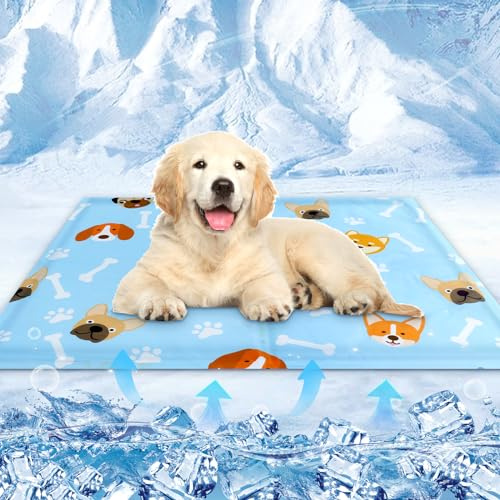 kudmwcc Kühlmatte für Hunde & Katzen, 50 × 40cm, Hundekühlmatte, kühldecke Katze für Zuhause, Unterwegs oder im Auto（A）