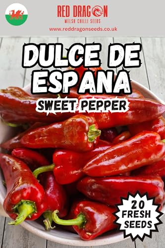 Dulce de Espana Sweet Pepper Seeds - 20 Fresh Dulce de Espana Sweet Pepper Seeds