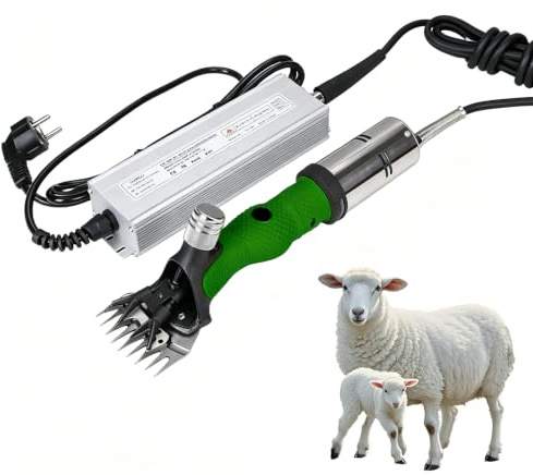 Tondeuse électrique Pour Moutons, Tondeuse Pour Bétail, Machine à Tondre