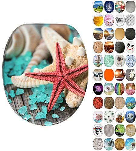 Sanilo WC Sitz mit Absenkautomatik, viele neue Toilettendeckel zur Auswahl, hochwertige Oberfläche, einfache Montage, stabile Scharniere (Bath Salts)