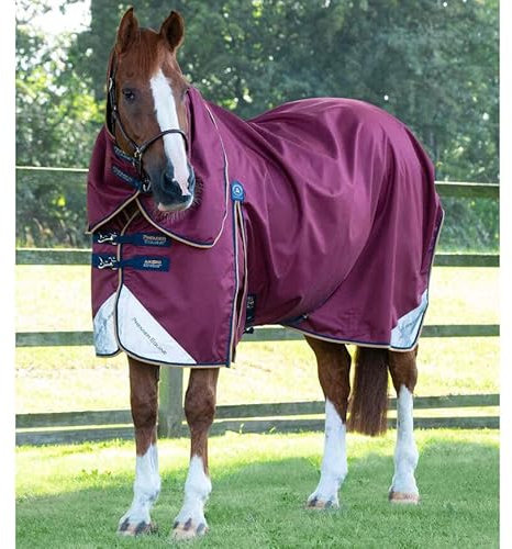 Premier Equine Outdoor-Decke für Pferde mit Halsabdeckung Akoni Stratus 0g