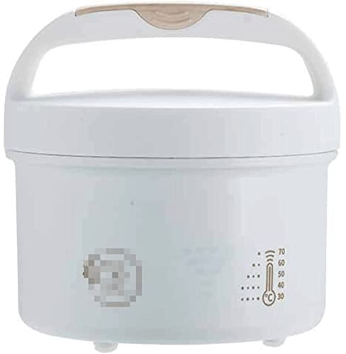 OLOTU Boîte à Lunch chauffante Boîte à Lunch électrique 48 W, Chauffe-Plats pour Bureau de Camion de Voiture, Chauffe-Plats avec récipient Amovible en Acier Inoxydable