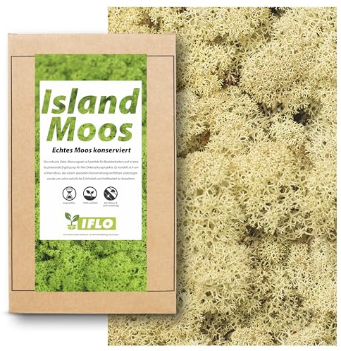 Moos zum Basteln - Island Moos - 100g Echtes Moos konserviert, Deko Moos Sets konserviertes Moos Ostern Deko islandmoos, moosbild, mooswand, Moos deko Terrarium Moss (Natur)