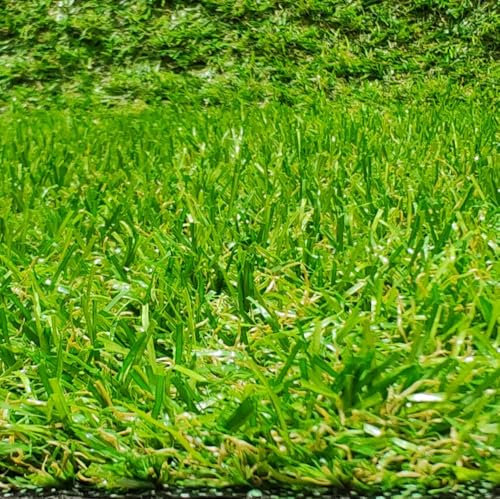 Tadi & Imperio1979 Rouleau de gazon artificiel en moquette pour terrasse ou jardin, hauteur 20 mm, 100 x 400 cm