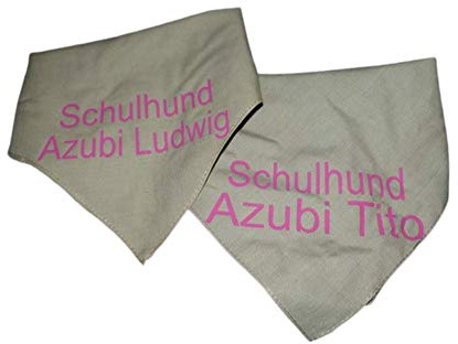 Hundehalstuch Schulhund Azubi mit Namen