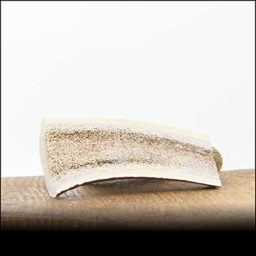 George & Bobs Hirschgeweih (halbiert) | Größe: Small (15g - 39g) | 100% Hirschgeweih | Kauspielzeug | Zahnpflege | Kausnack | Geweih | Kauknochen | Kaugeweih