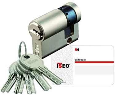 ISEO France SAS (CAVERS) CYL30954 - Cilindro medio 30 x 10 LN ISEO ISR6 MV AGL004680-880930109.8506