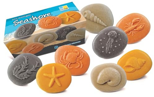 Yellow Door Let’s Investigate Seashore | Set of 8 stones for sand, water and messy play| Early educational learning |Ocean STEM kit | kids age 2,3,4,5 | Outdoor shell, crab, jellyfish toys