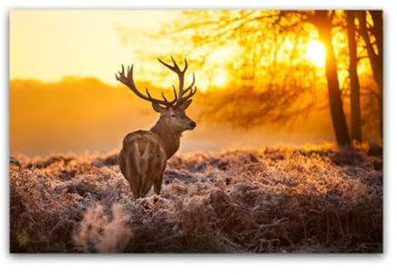 Elch-Sonnenuntergang-Landschaftsposter, Hirsch, Leinwanddrucke, Gemälde, Wandkunst, Bilder für Wohnzimmer, Heimwanddekoration, 50x70cm (ungerahmt)