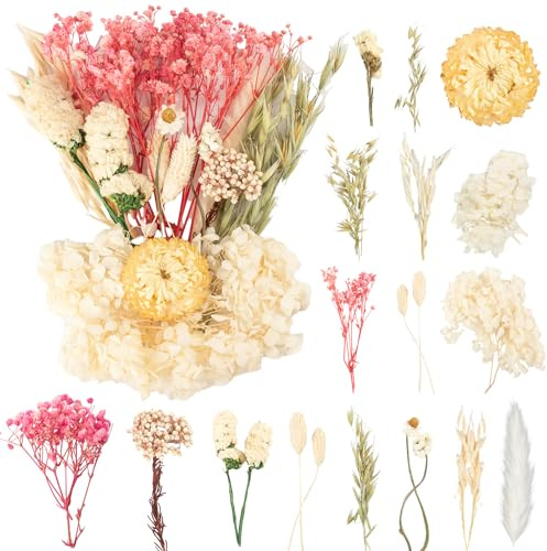 LAUMOE Trockenblumen, Getrocknete Blumen, Trockenblumen Zum Basteln Klein ​für Kunst DIY Harz Scrapbooking Handwerk Karten Machen (Stil 6)