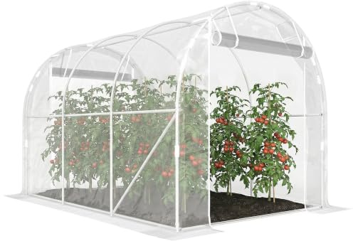 Outsunny Serre Tunnel de Jardin 6m² 195x295x195cm 2 Portes Transparent | Serre de Jardin Tunnel, Cadre Acier Galvanisé, Bâche PE Haute Densité 150g/m² Prolongée de 20 cm, pour Extérieur