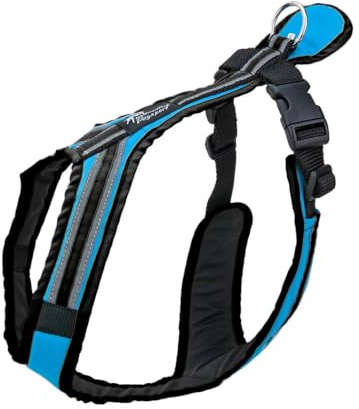 Safety Führ- und Zuggeschirr | Mantrailing | Canicross | Zughundesport | Alltagsgeschirr | Führgeschirr (Helltürkisblau, M - 23-29 Kg)