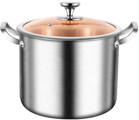 ASumPio Stock Pot,316Stainless Steel Stock Pot,with Tempered Glass Lid,Heavy Duty Pasta Soup Canning Stockpot,Induction Pot for Boiling Strew Simmer,One Color-28cm