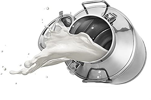 Bidon de Lait scellé, Seau de Transport avec Couvercle hermétique, pour Restaurant, Maison, Cuisine, 20 L (32 x 40 cm)
