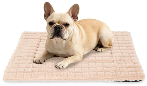 BVAGSS Flauschiges Orthopädisches Hundebett, Waschbar Hundematte, rutschfeste Unterseite, Plüsch Hundekissen Weiche und Warme Hundematte für klein mittel große Hunde XH082 (90x60cm,Aprikose)