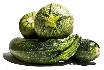 Graines de courgettes hybride diamant - sachet de 2 grammes - Cucurbita/pepo/Cucurbitacées - Graines de style