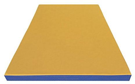NiroSport Turnmatte 140 x 100 x 8 cm Weichbodenmatte Matte Gymnastikmatte Fitnessmatte Sportmatte Trainingsmatte Bodenmatte Schutzmatte Übungsmatte wasserdicht