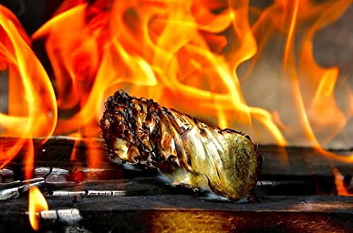 TR-FLAMES 1kg Bio Anzündwolle Kaminanzünder Grill Holz Anzünder Holzwolle Feueranzünder Feuer Anzündwürfel