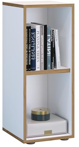 VCM Holzregal stehend | platzsparender Aktenschrank | Maße ca. H. 74 x B. 30 x T. 33 cm | Elegantes Regal | Büroregal – Salia 2fach B. 30 cm