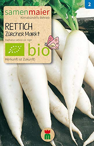 BIO Rettich Zürcher Markt Samen - sehr geschmackvoll und schnellwachsend - Raphanus sativus var. niger - ideal für Garten und Balkon - 2 g - Samen Maier