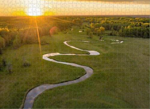 Puzzles for Adults 1000 Pieces Jigsaw Puzzles Forest Summer Colors Green deciduous Trees and Winding Blue River Puzzles Clearance Big Large Puzzles Difficult Cool Hard Puzzles for Adults
