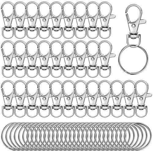 Augshy 60 Piezas Llavero Giratorio, Mosqueton Llavero, llaveros Desmontable para Manualidades DIY, Mochila, Bolso, Proyectos de Costura (Plata)