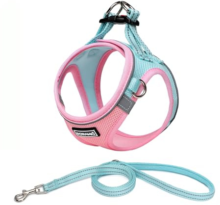 DORAMIO Arnés Perro Pequeños, Arnés Antitirones Reflectante Cómodo Transpirable Arneses Chaleco para Perros Pequeños Gatos, Cachorros (XL, Azul Rosa)