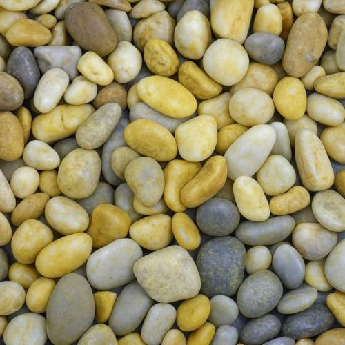 Kieselsteine Garten 16-32 mm 25 kg Quarzkies Zierkies Buntkies Teichkies Aquarium Kies Zierstein Quarz Aquariumkies Aquarium Bodengrund