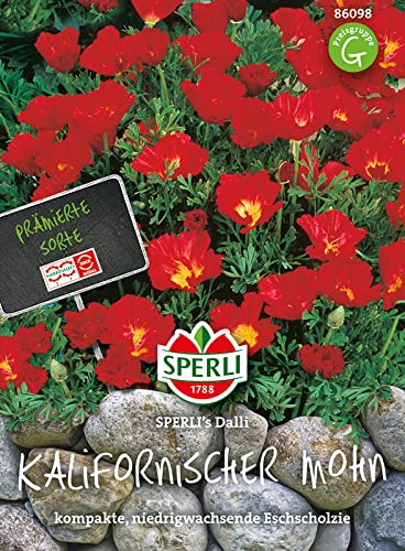 Sperli - Saatgut Kalifornischer Mohn Schlafmützchen Dalli, blühende niedrige Sommerblume für Rabatten Steingärten Einfassungen Gefäße Balkon