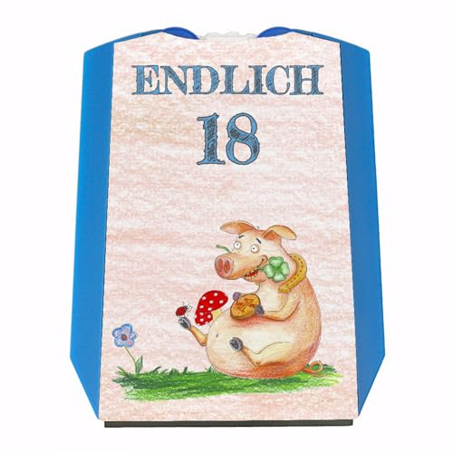 speecheese Endlich 18 Parkscheibe mit Glücksschwein Geschenk zum 18 Geburtstag eigenes Auto Freunde über 18 erwachsen praktisch mit Eiskratzer und Wasserabstreifer Party Mitbringsel
